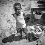  Le petit pêcheur des Caraïbes